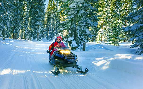 riding a snowmobile in winter forest